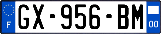 GX-956-BM