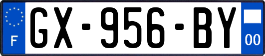 GX-956-BY