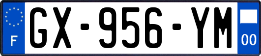 GX-956-YM