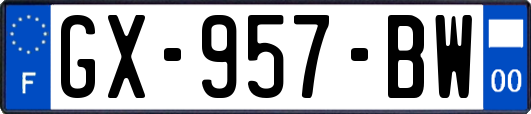 GX-957-BW