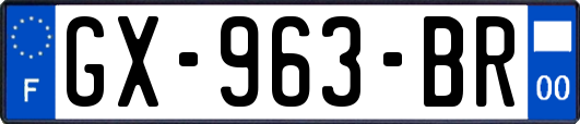 GX-963-BR