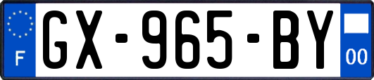 GX-965-BY
