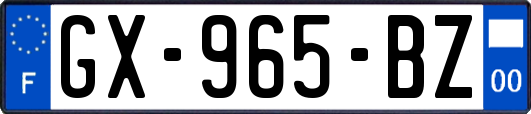 GX-965-BZ