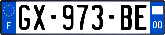 GX-973-BE