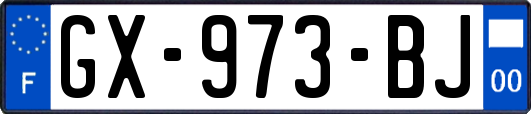 GX-973-BJ