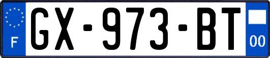 GX-973-BT