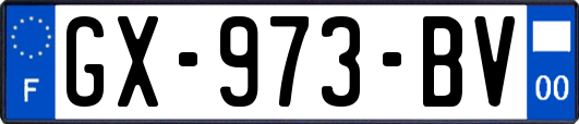 GX-973-BV