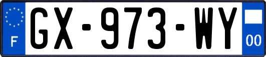 GX-973-WY