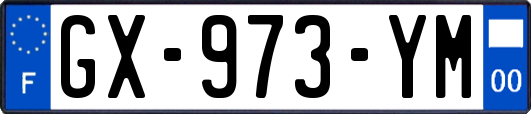 GX-973-YM