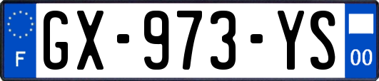 GX-973-YS