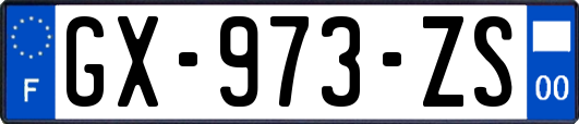 GX-973-ZS