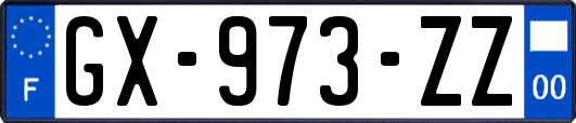 GX-973-ZZ