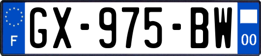 GX-975-BW