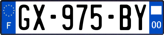 GX-975-BY