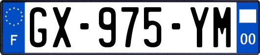 GX-975-YM