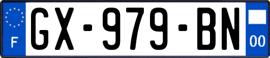 GX-979-BN