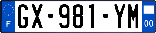 GX-981-YM