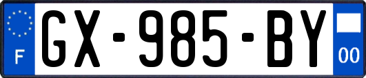 GX-985-BY