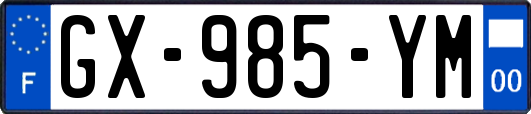 GX-985-YM