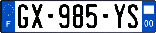GX-985-YS