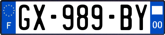 GX-989-BY