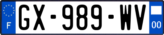 GX-989-WV
