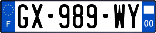GX-989-WY