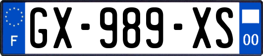 GX-989-XS