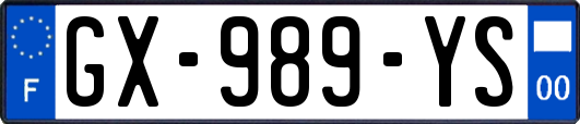 GX-989-YS