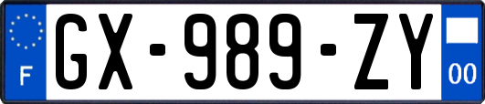 GX-989-ZY