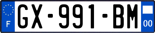 GX-991-BM