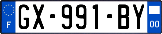GX-991-BY