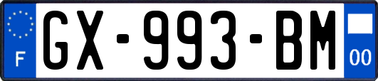 GX-993-BM