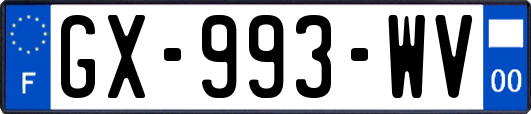 GX-993-WV