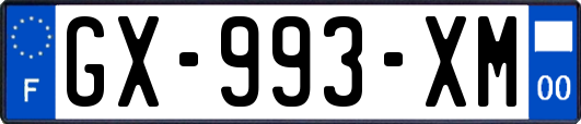 GX-993-XM