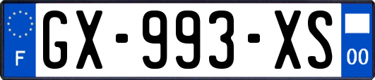 GX-993-XS
