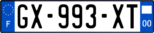 GX-993-XT