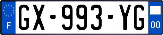 GX-993-YG