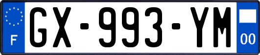 GX-993-YM