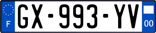 GX-993-YV
