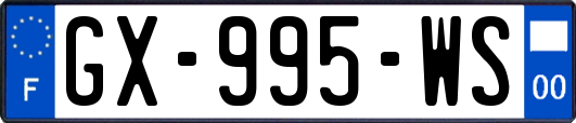 GX-995-WS