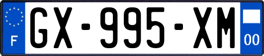 GX-995-XM