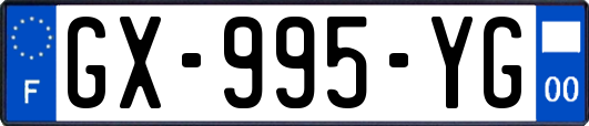 GX-995-YG