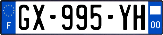 GX-995-YH
