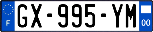 GX-995-YM