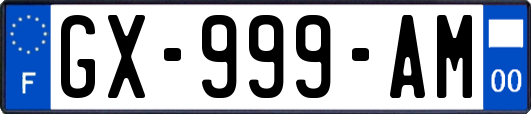 GX-999-AM
