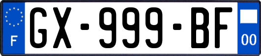 GX-999-BF