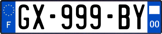 GX-999-BY