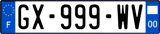 GX-999-WV