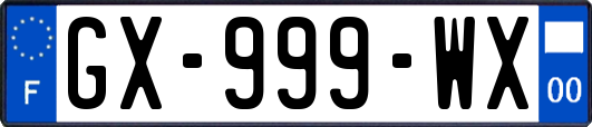 GX-999-WX